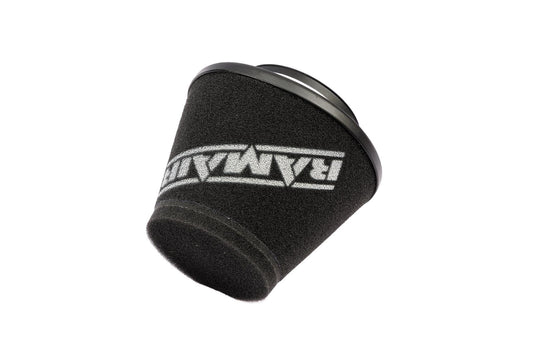 PRORAM Audi Nanofiber Panel Filter (RPF1235)