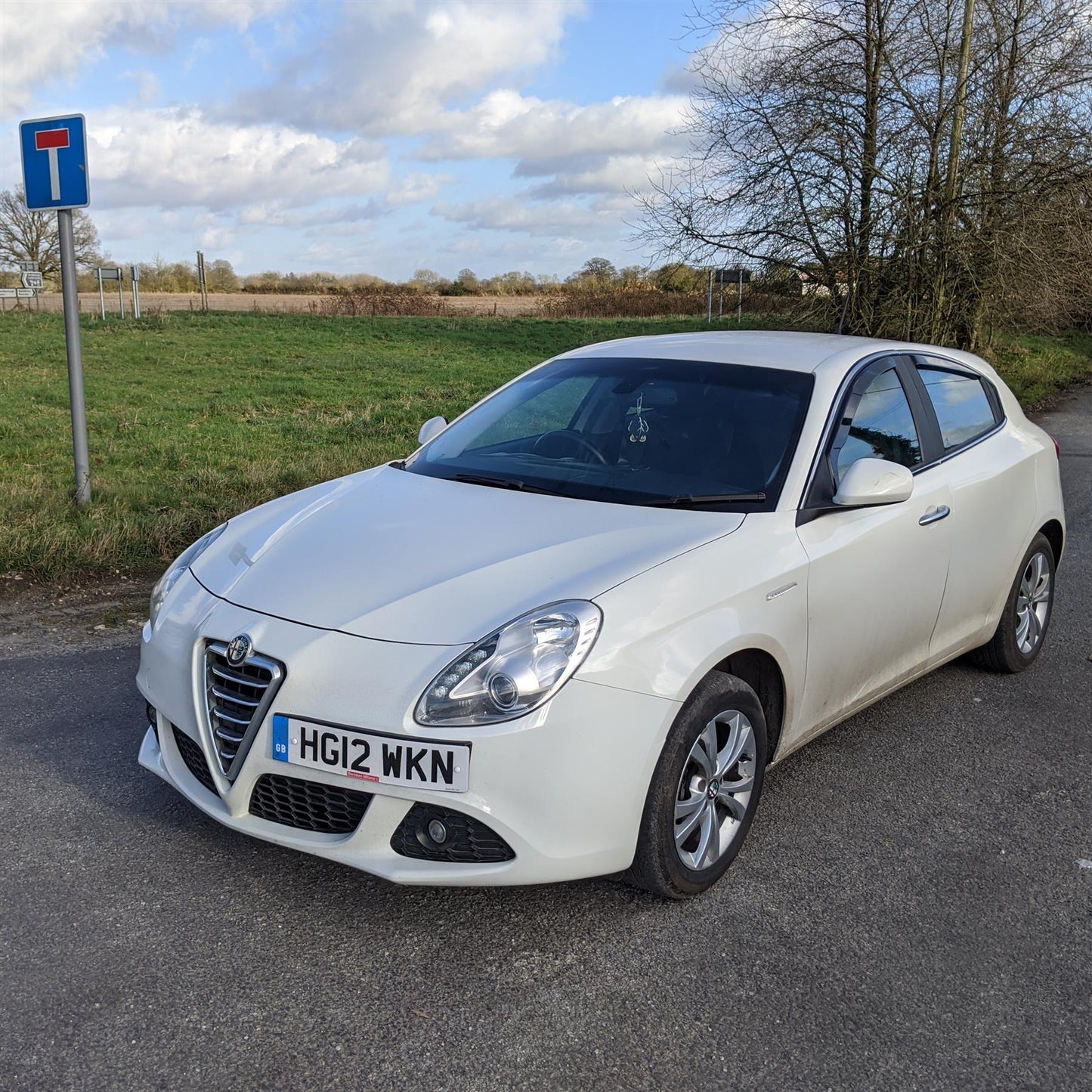 Alfa Romeo Ramair PSR Pleated Nanofiber Induction Kit (PSR234)