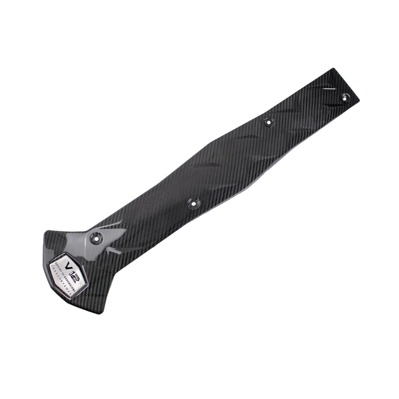 Fabspeed Carbon Fiber Center Intake Panel- Lamborghini Aventador (FS-CF-LAM-AVCEP)