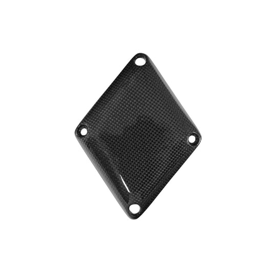 Fabspeed Carbon Fiber Engine Intake Compensation Panel - Ferrari 360 (FS-CF-FER-360CP)