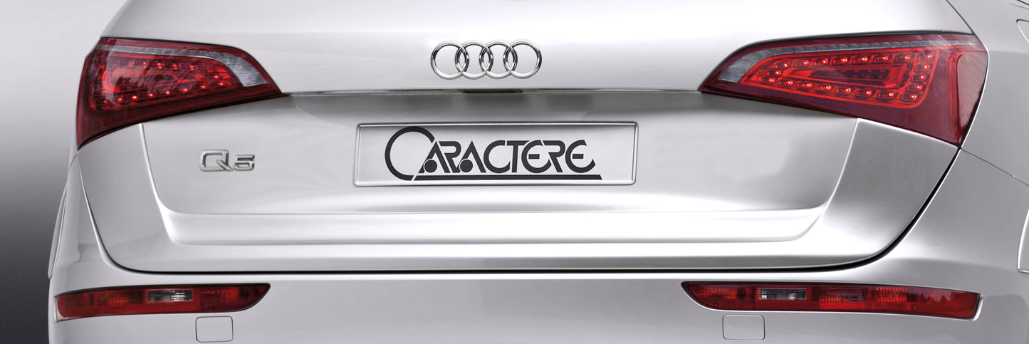 Audi Q5 (2008) 8R0 Caractere Complete Wide Aerodynamic Upgrade Body Kit