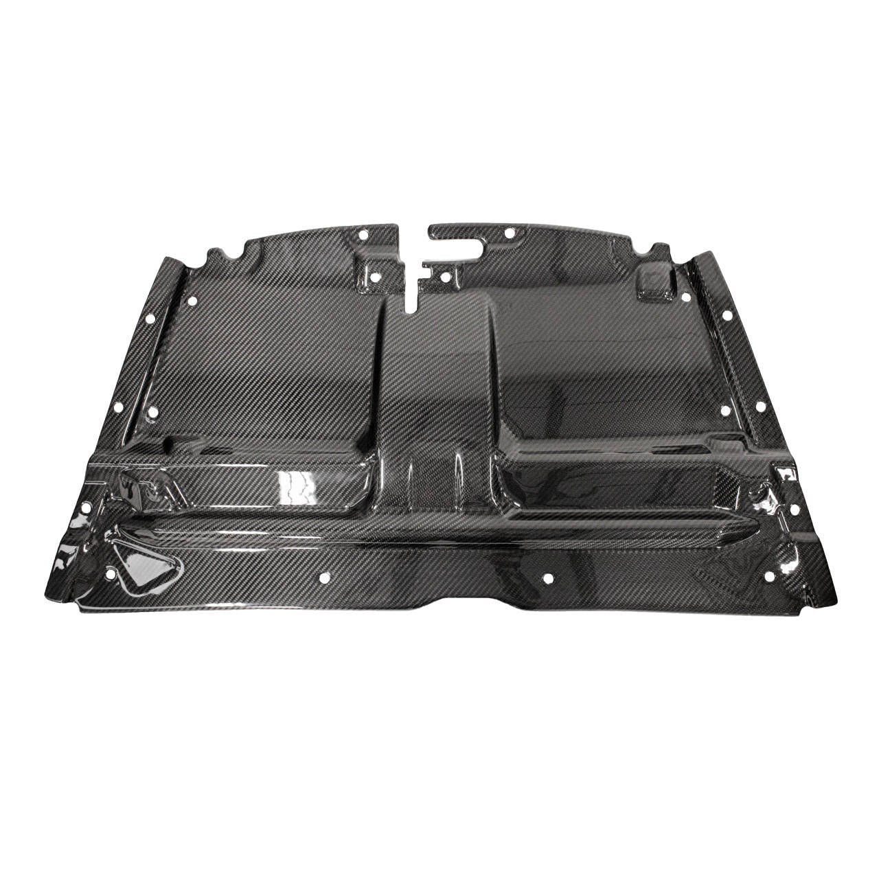 Fabspeed Carbon Fiber Slam Panel - Aston Martin (FS-CF-AM-SP-DBS)