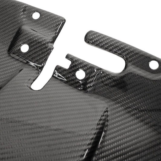 Fabspeed Carbon Fiber Slam Panel - Aston Martin (FS-CF-AM-SP-DBS)