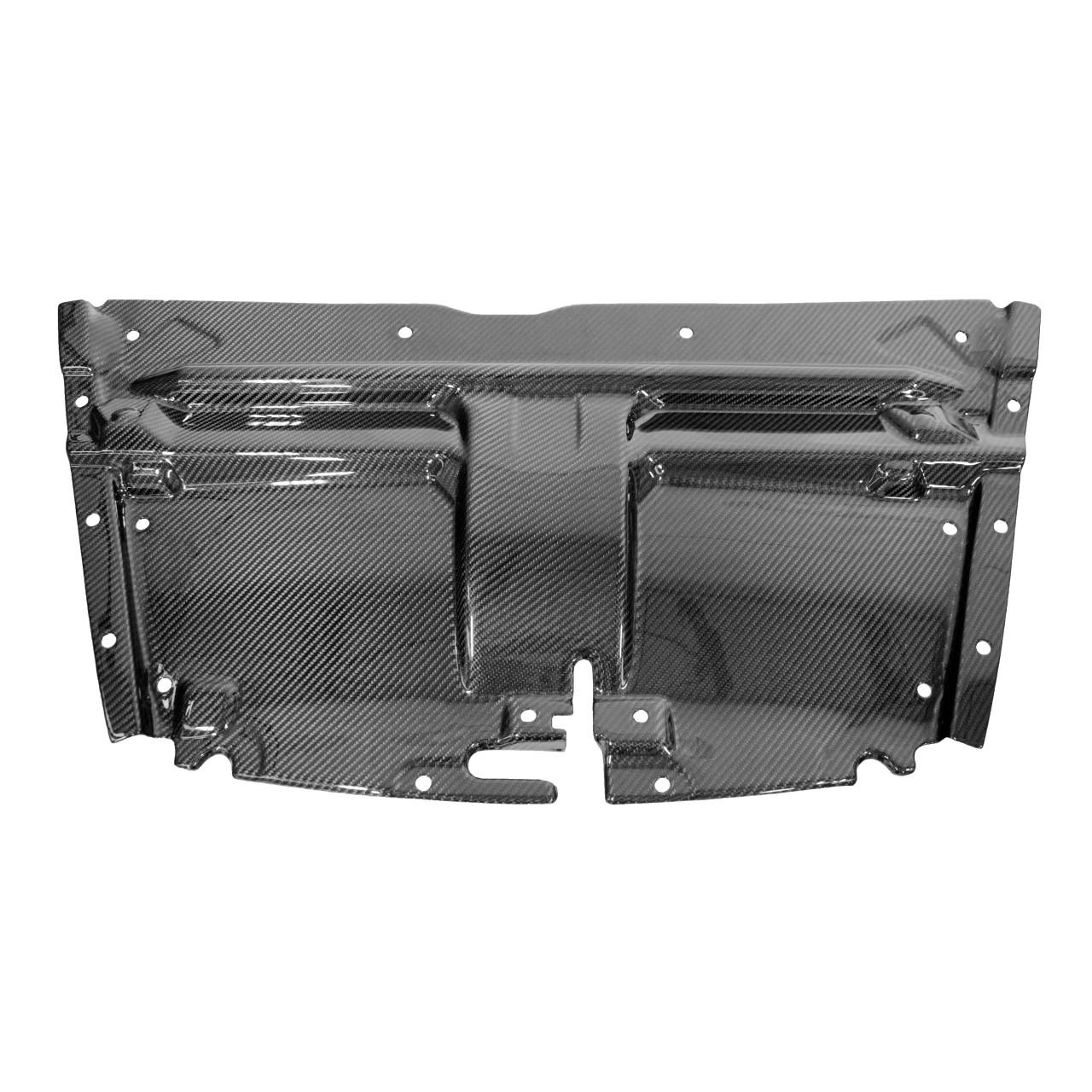 Fabspeed Carbon Fiber Slam Panel - Aston Martin (FS-CF-AM-SP-DBS)