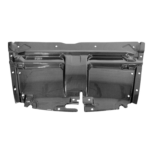 Fabspeed Carbon Fiber Slam Panel - Aston Martin (FS-CF-AM-SP-DBS)