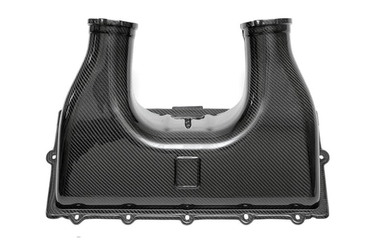Fabspeed Ferrari 458 Italia Carbon Fiber Airbox Cover 2010-2015 (FS.FER.458.ABX)
