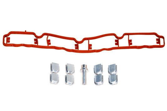 RTMG Flap Delete Kit For 2.0 TFSI EA113