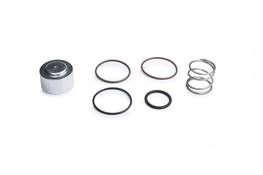 RTMG Relief Valves Service Kit