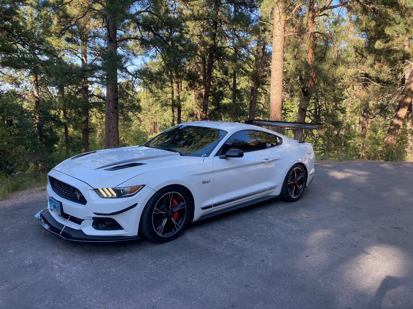 APR Ford Mustang S550 GT-250 Adjustable Wing 2015-2017
