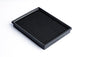 PRORAM Mercedes-Benz Nanofiber Panel Filter (PPF9791)