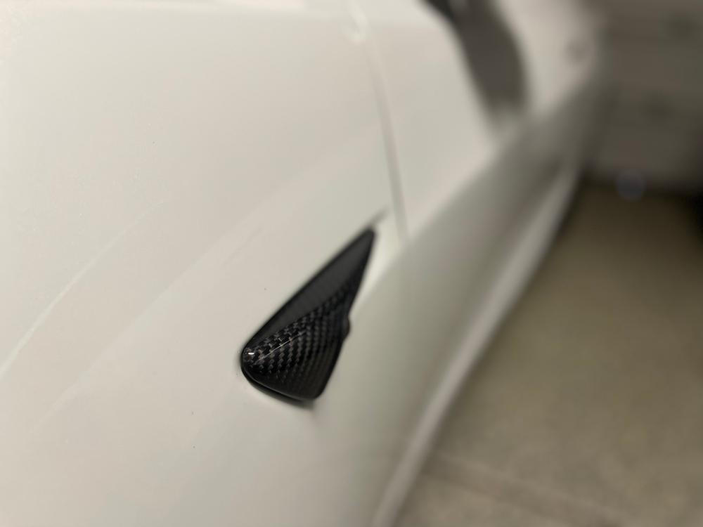 Fabspeed Tesla Model Y Carbon Fiber Turn Signal (FS.TESLA.Y.TSC)