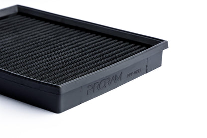 PRORAM Mercedes-Benz Nanofiber Panel Filter (PPF9791)
