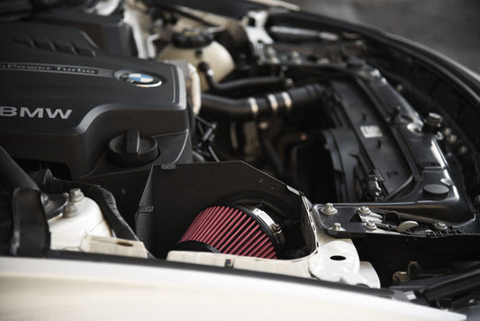 BMW N20/N26 EWG Intake System ( BW-N2003)