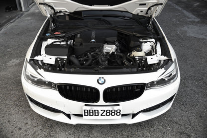 BMW N20/N26 EWG Intake System ( BW-N2003)