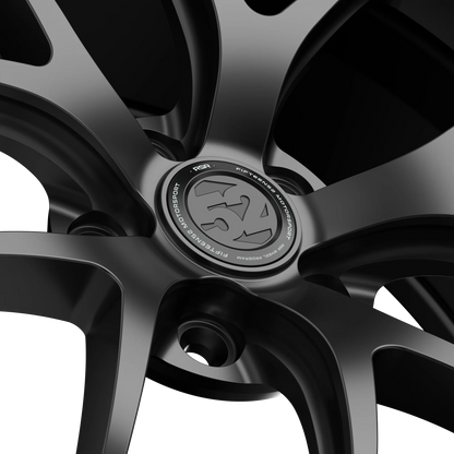 Fifteen52 Wheel (RSR-Sector RSR) Frosted Graphite/Satin Grey