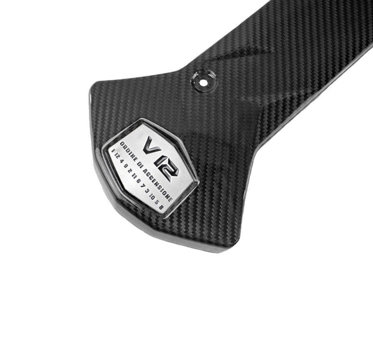 Fabspeed Carbon Fiber Center Intake Panel- Lamborghini Aventador (FS-CF-LAM-AVCEP)