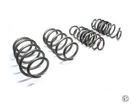 09D Performance Spring Kit [Fiesta ST Mk8/Mk8.5 | Puma ST] (FCH003AA)