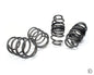 09D Performance Lowering Spring Kit [Focus ST Mk4] (FCH004AA)