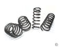 09D Performance Lowering Spring Kit [Focus RS Mk3] (FCH011AA)