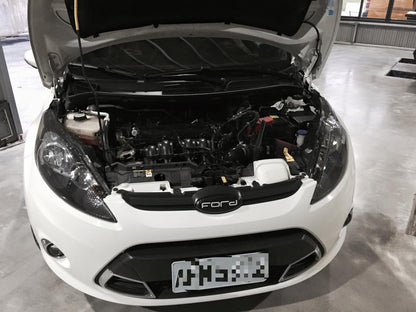 Ford Fiesta 1.6L Powershift Intake System (FD-FI701)