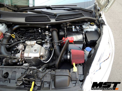 Ford Fiesta MK7.5 1.0L Ecoboost Intake System (FD-FI702)