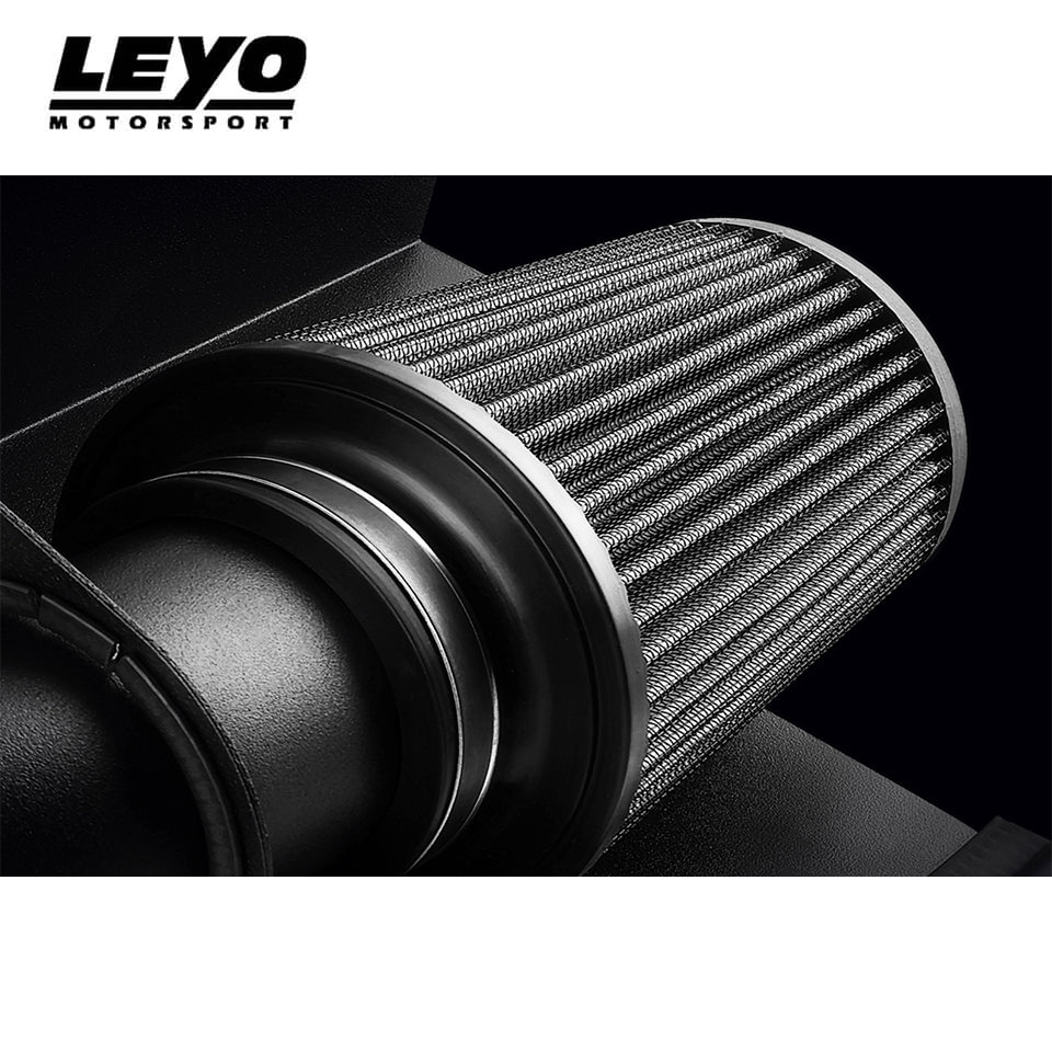 Leyo Motorsport EA211 (MQB) MK7 1.4 Replacement Air Filter