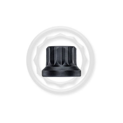 Head Stud Set Burnished For Audi RS38P TTRS8J CEPA (P101071210.BR)