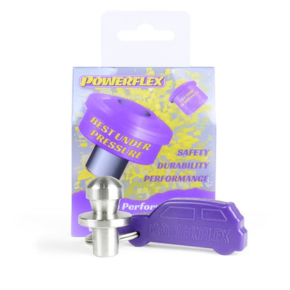 Mini (PFF5-170) Clutch Fork Pivot Pin