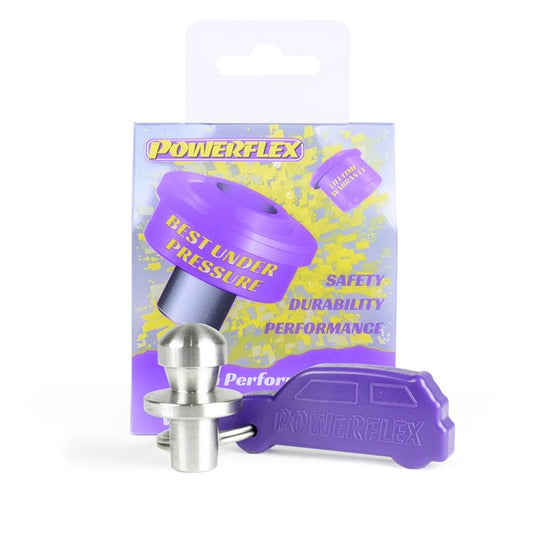 Mini (PFF5-170) Clutch Fork Pivot Pin