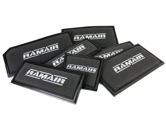 PRORAM BMW Nanofiber Panel Filter (RPF9825)