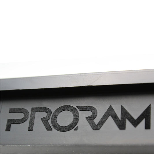 PRORAM BMW Nanofiber Panel Filter (PPF2102)
