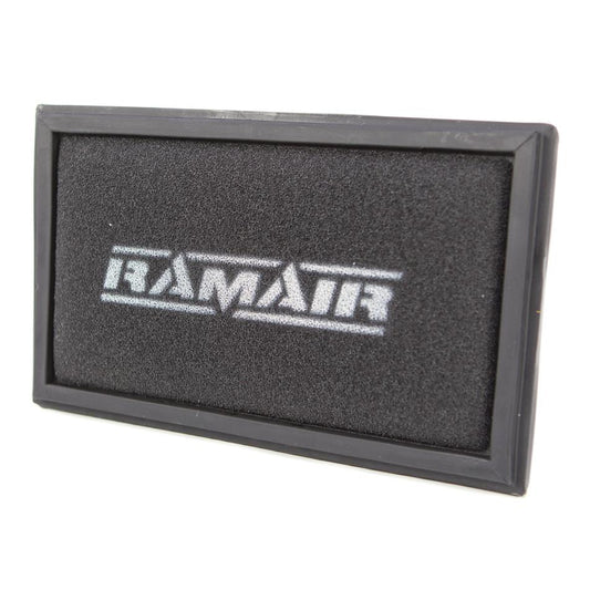 PRORAM Renault Nanofiber Panel Filter (RPF1846)