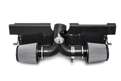 Fabspeed Porsche 996 GT3 Carbon Fiber Competition Air Intake 1999-2005 (FS.POR.996GT3.COMPAI)