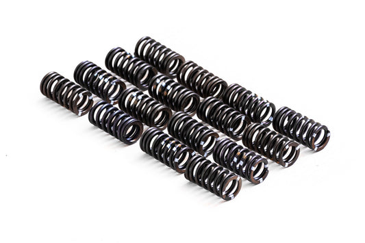 RTMG Stiffer Valve Springs For VAG 1.4 TSI EA111