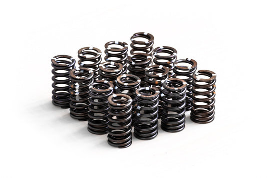 RTMG Stiffer Valve Springs For VAG 1.4 TSI EA111